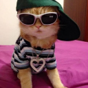 wal's avatar