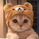 komodo's avatar