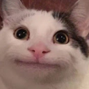 ShyDreamer's avatar