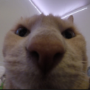 Round's avatar