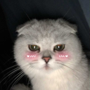 parker's avatar