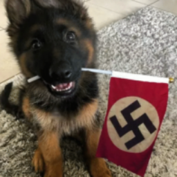 Notejuno's avatar