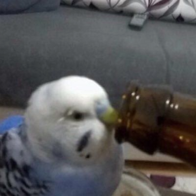 exozeol's avatar