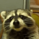 Kreis's avatar
