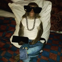 žmħ's avatar