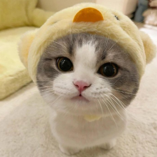 Quack's avatar