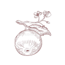 Galeete's avatar