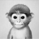 beberleche's avatar