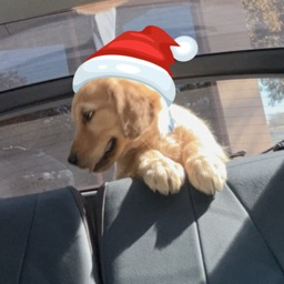 Biaghi's avatar