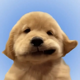 VivaLaVida's avatar