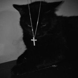idkw05's avatar