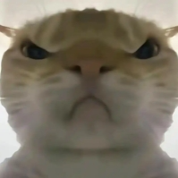 Rrr's avatar
