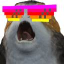 PORGwitwit