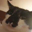 tregzy.'s avatar