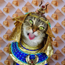 AntonF's avatar