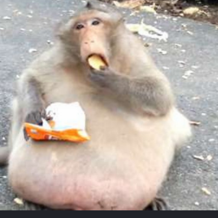 Desync's avatar