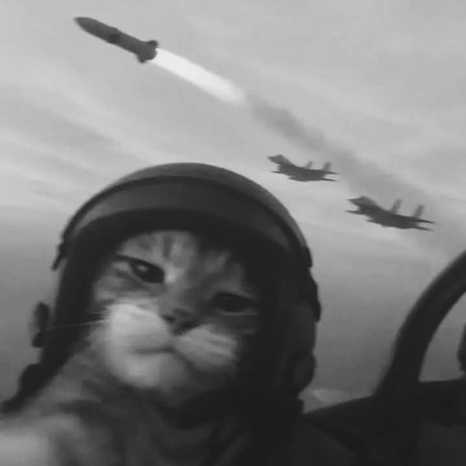 Monsieur'Rocket's avatar