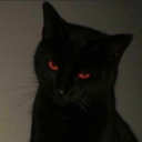 dooly's avatar