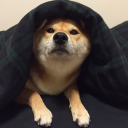 Dog's avatar