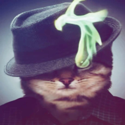 Schöbitz's avatar