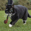 h6n's avatar