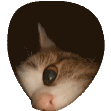 Wayz's avatar