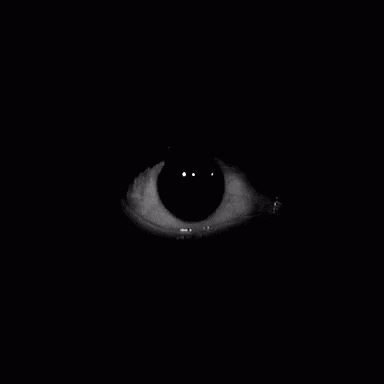 5MR's avatar