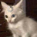 error404's avatar
