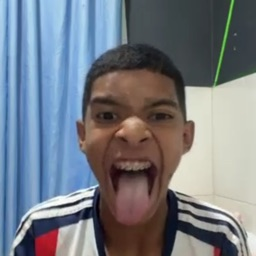 duck's avatar