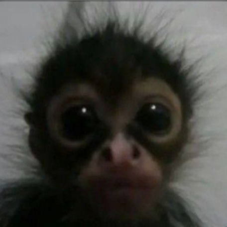 mbs's avatar