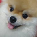 ArAr's avatar