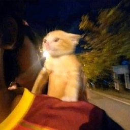 L e n's avatar