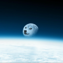 scessrr's avatar