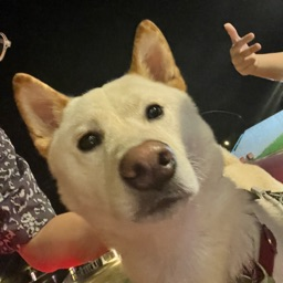 !Bobo's avatar