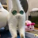 Emily's avatar