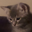 s8n's avatar