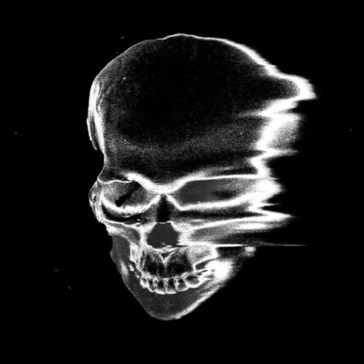 f9hl's avatar
