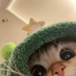 03k's avatar