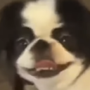 Scwentyicel's avatar