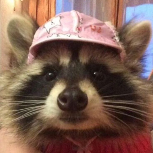 𝓒𝓪𝓵𝓵𝓜𝓮𝓡𝓾𝔃𝓮's avatar