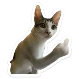 Yurrrr's avatar
