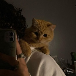 eL's avatar