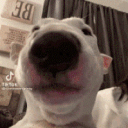 ! Rusty's avatar