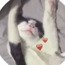 RelaxedErmine's avatar